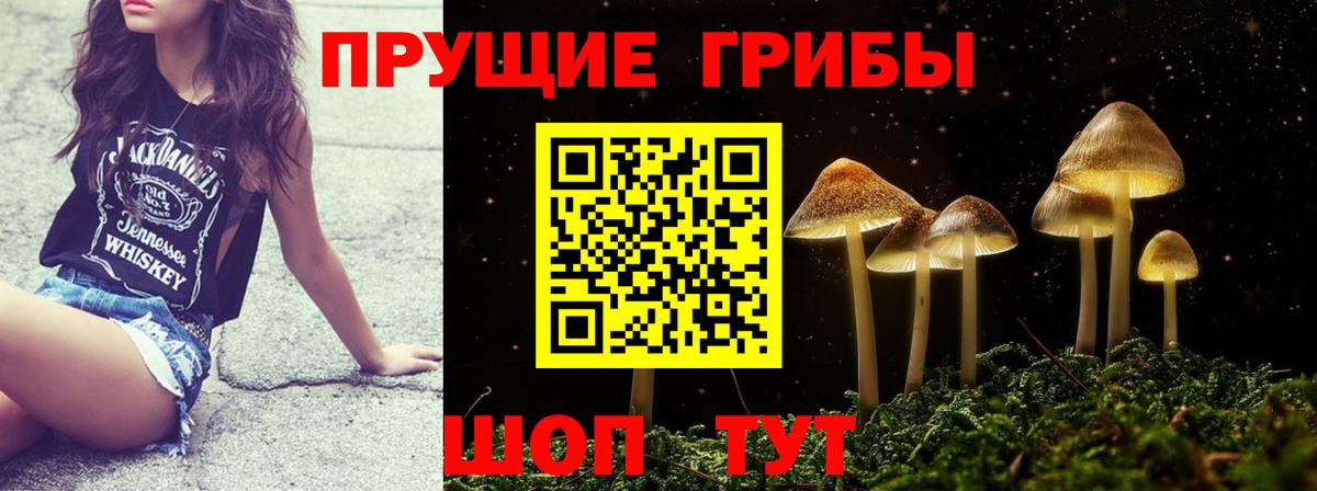 Псилоцибиновые грибы мицелий Менделеевск
