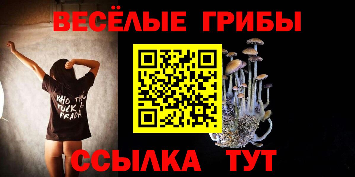 Псилоцибиновые грибы мицелий  где можно купить   Менделеевск  Вход с VPN 